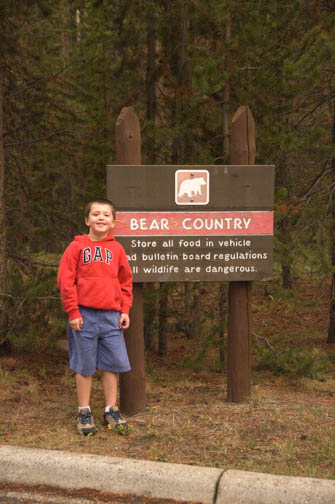 Bear County Sign