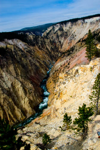 Grandcanyon of Yellowstone