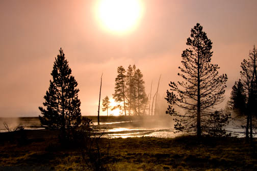 Yellowstone National Park Hayden Valley Sunrise